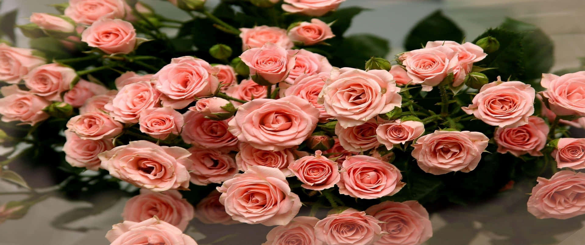 Romantic Fresh Roses In A Basket