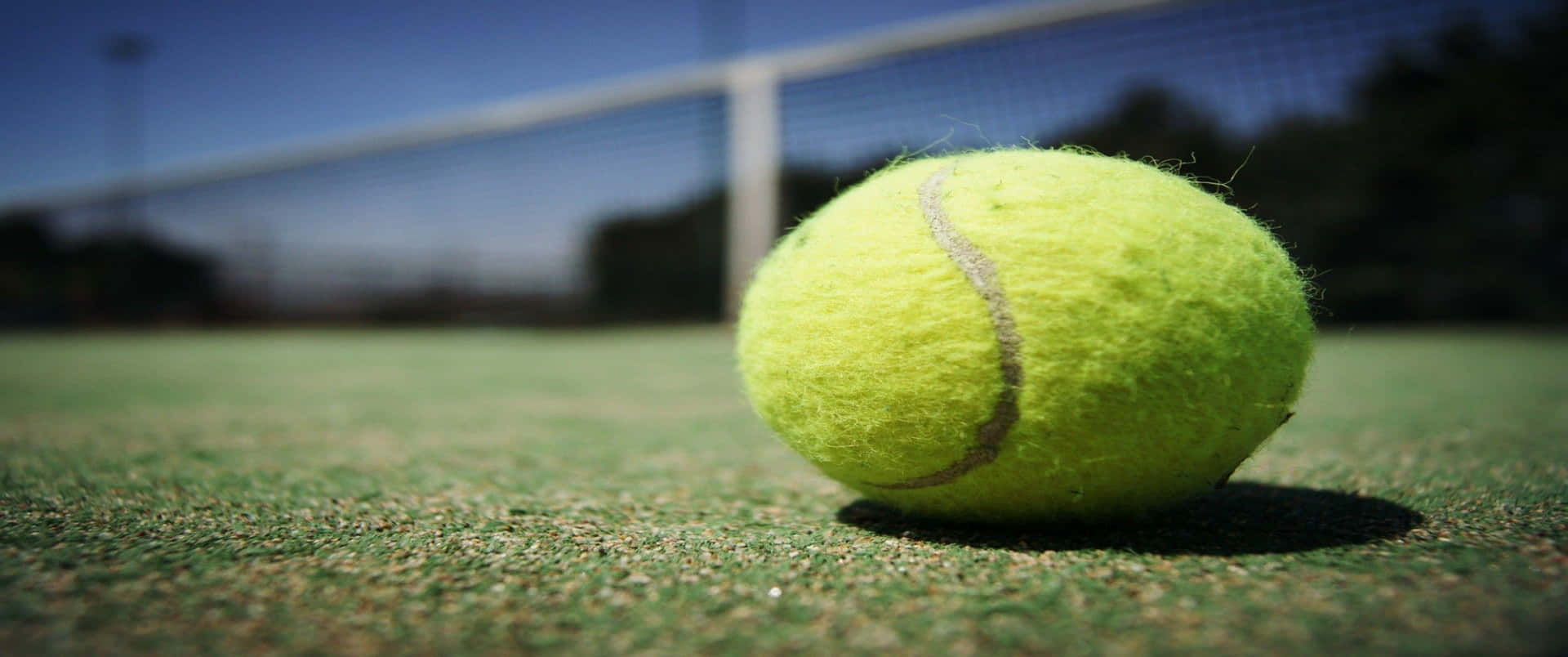 A Tennis Ball On The Ground