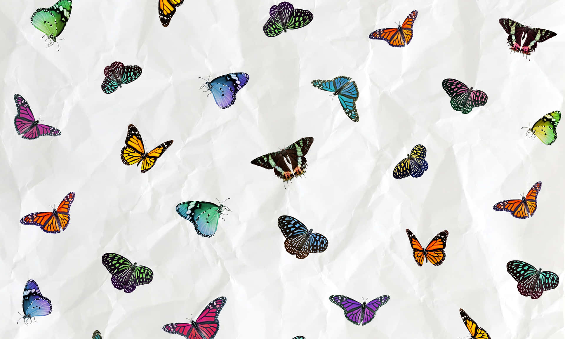 A Colorful Pattern Of Butterflies On A White Background Wallpaper