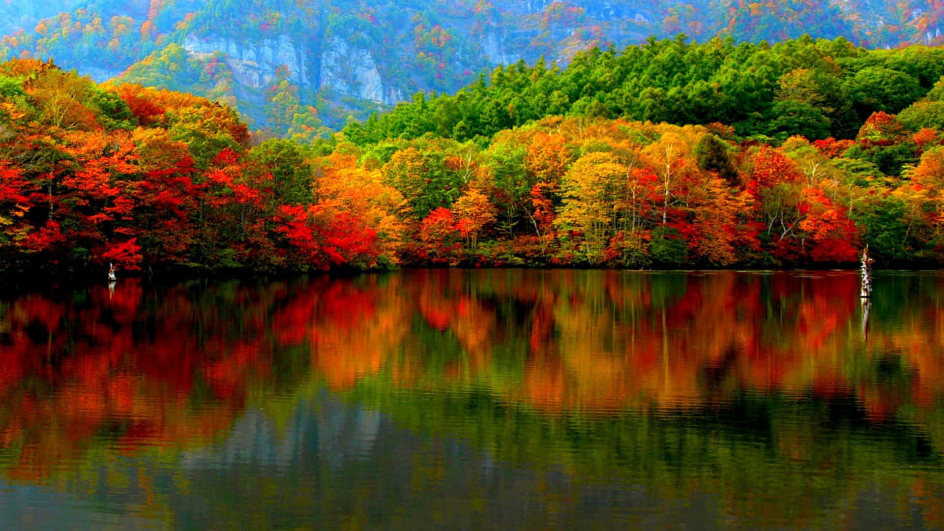 A view of stunning autumnal landscape Wallpaper