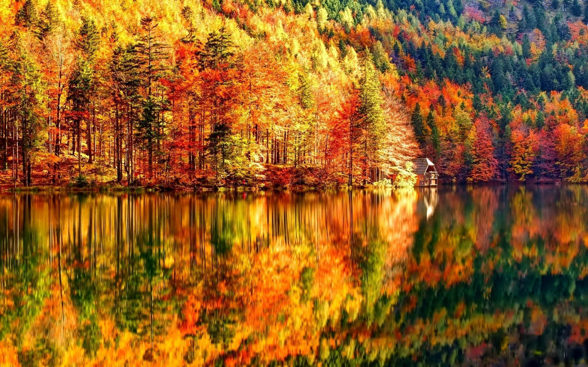 Vibrant Autumn Scenery Wallpaper