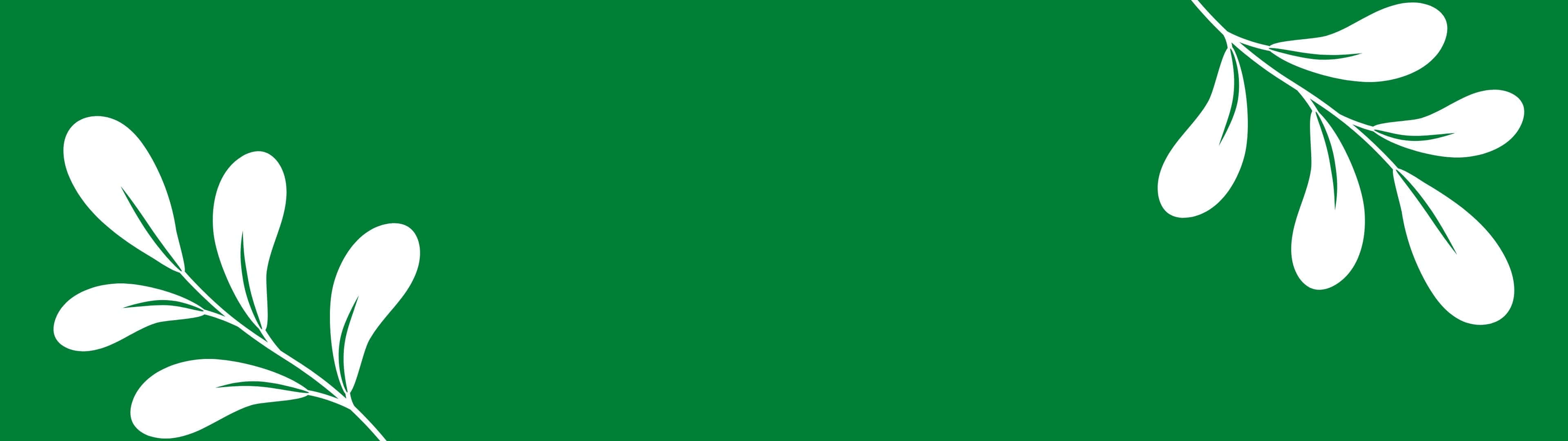 Unosfondo Verde Con Foglie Bianche Su Di Esso