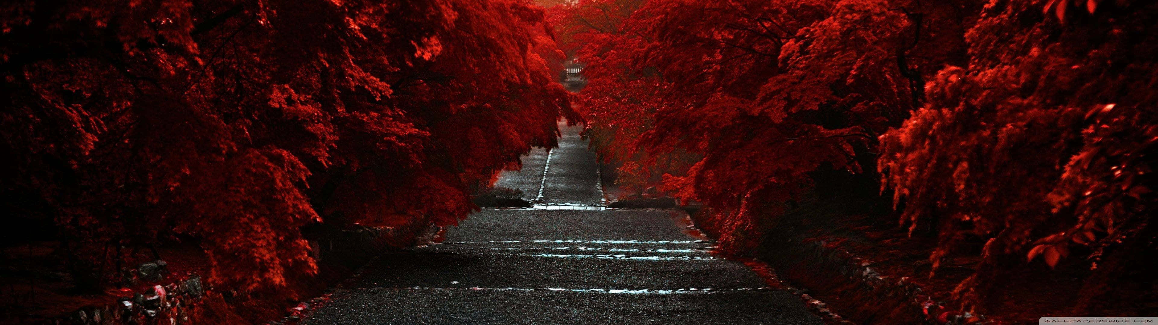 3840X1080 Red Road Picture