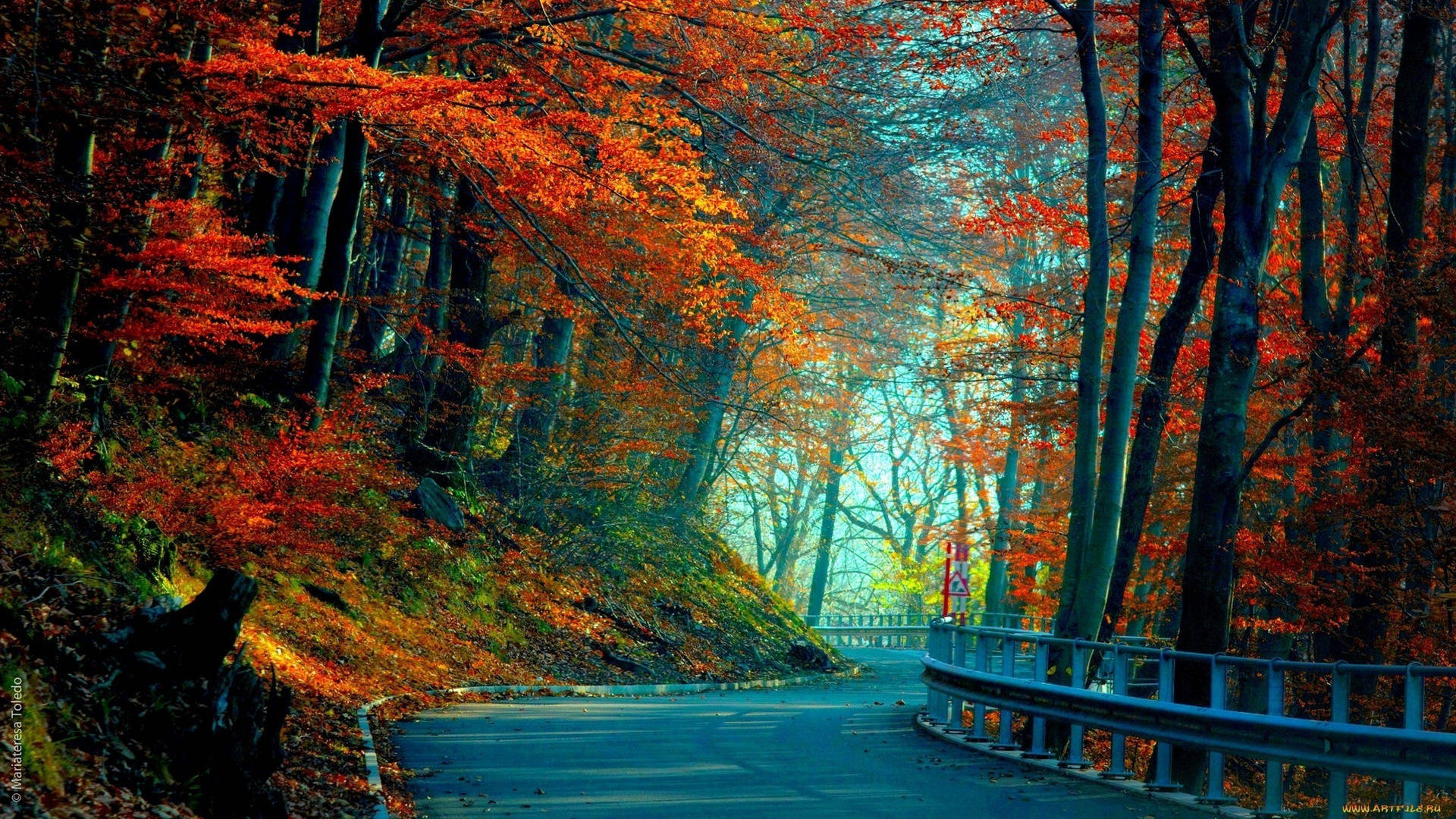 3840x2160 Monitor Forest Road Wallpaper