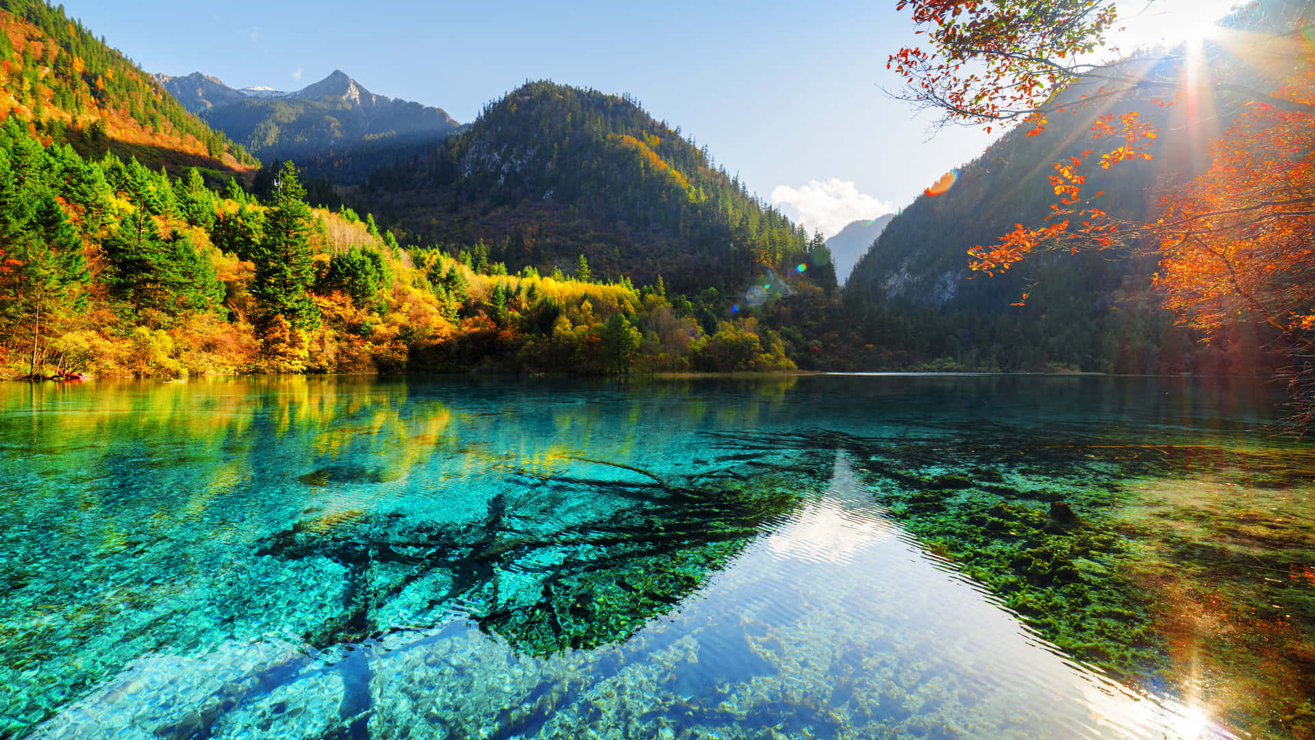 A Lake With Clear Water And Trees In The Background Wallpaper