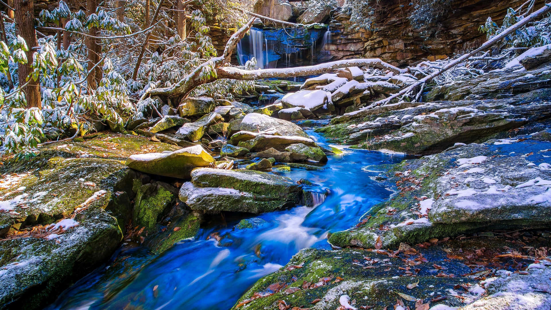 A Blue Stream In The Snowy Woods Wallpaper