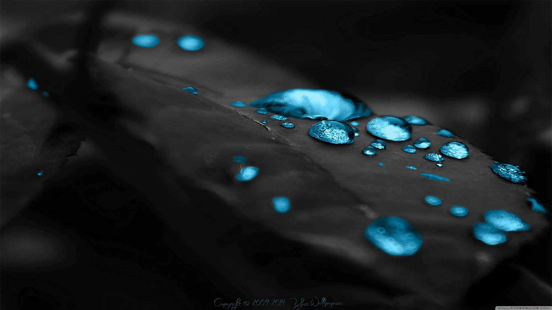 Blue Water Droplets On A Leaf Wallpaper