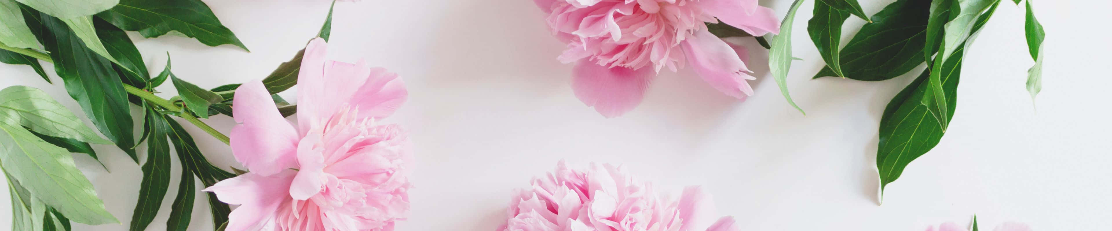 Pink Flowers On A White Background Wallpaper