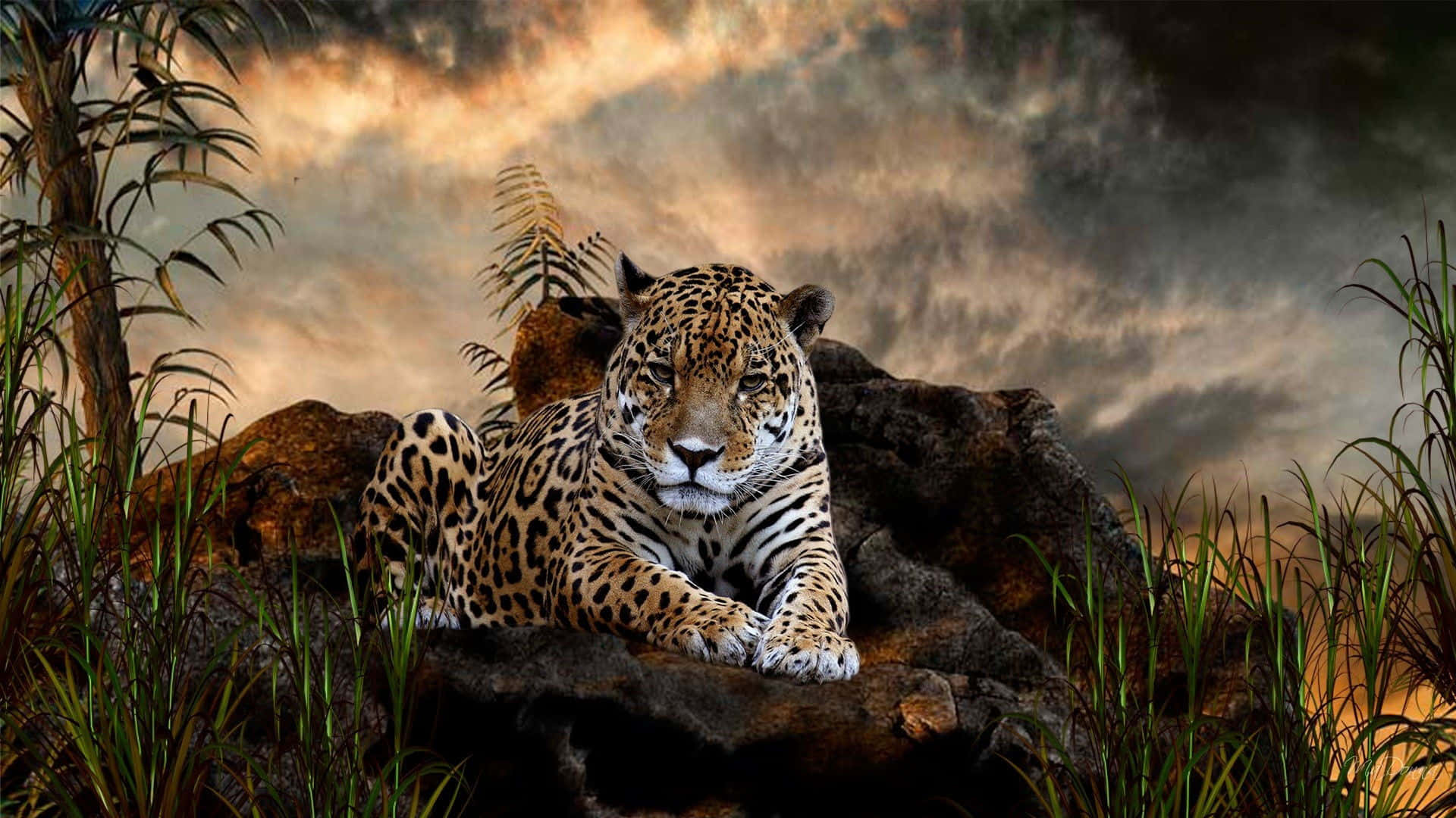 Stunning 3D Rendered Animal in Nature Wallpaper