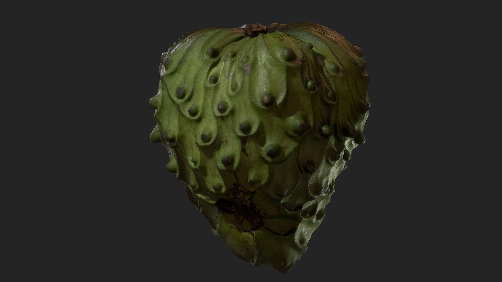 3d Animated Cherimoya Plant Picture
