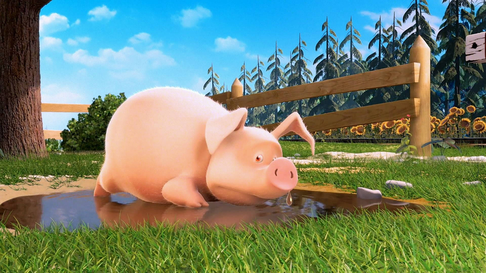 3d Animated Pig Drinking Water Wallpaper