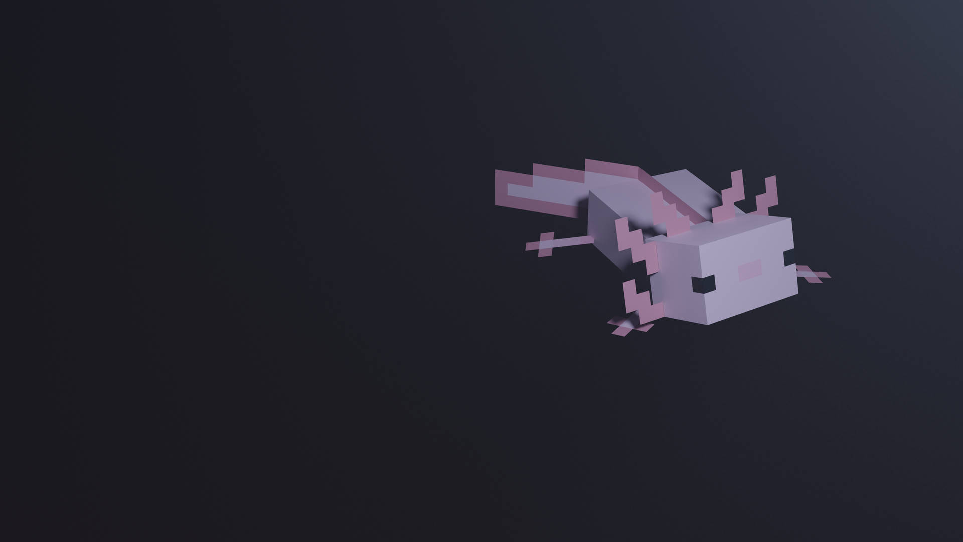 Axolotlen 3d Sobre Fondo Negro. Fondo de pantalla