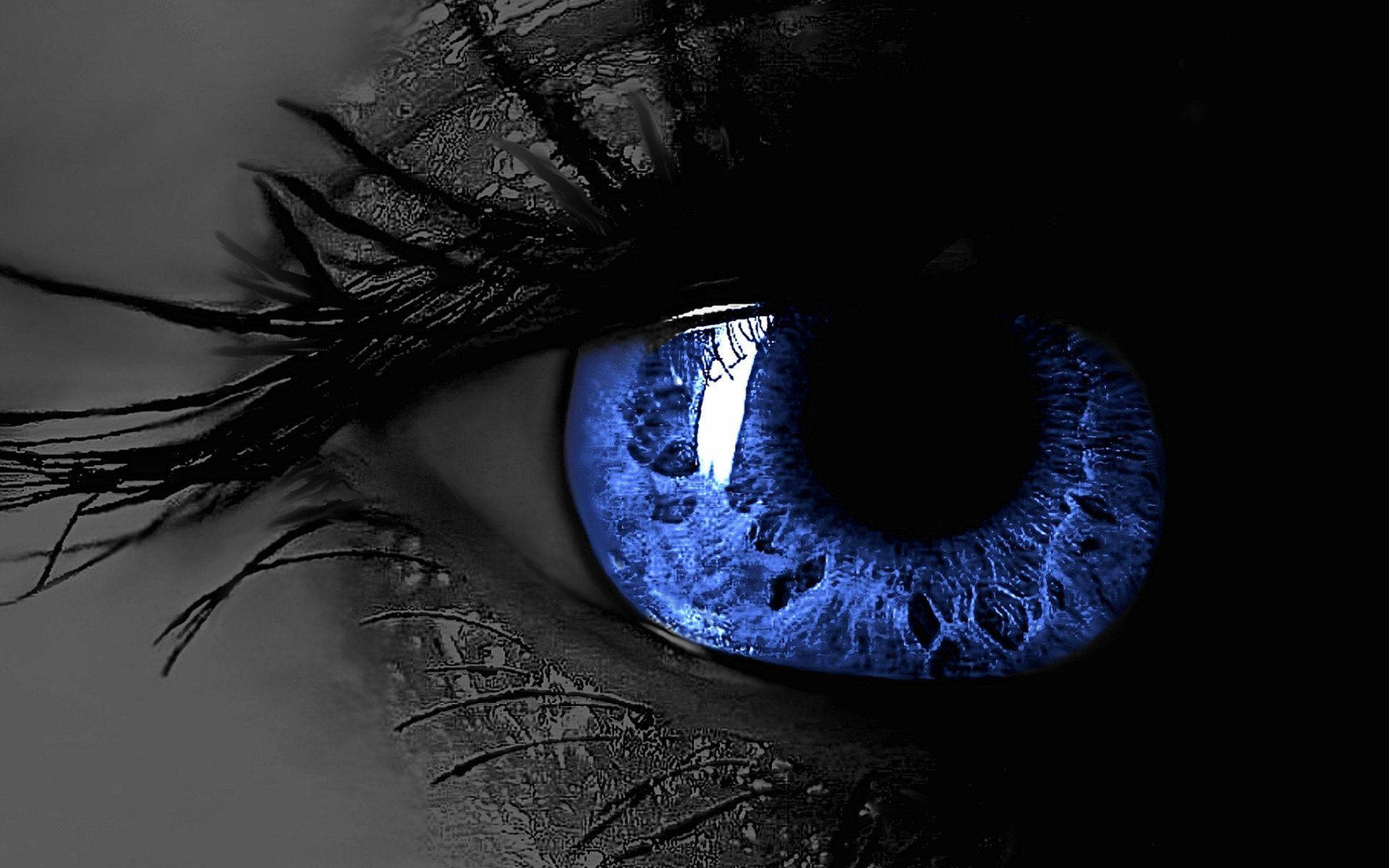 3d Blue Eye With Long Lashes Hd Wallpaper