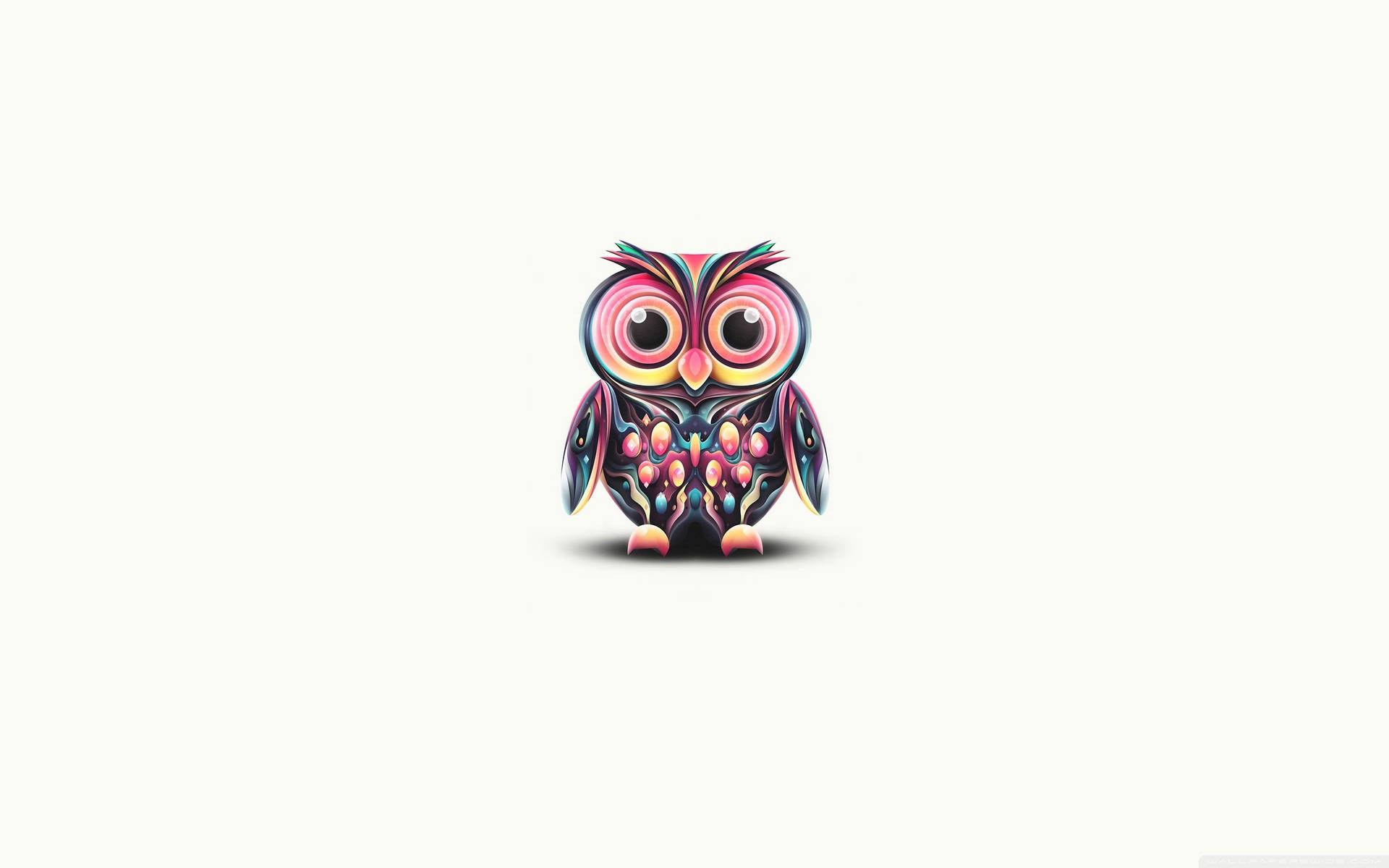 3D Cute Owl Wallpaper
