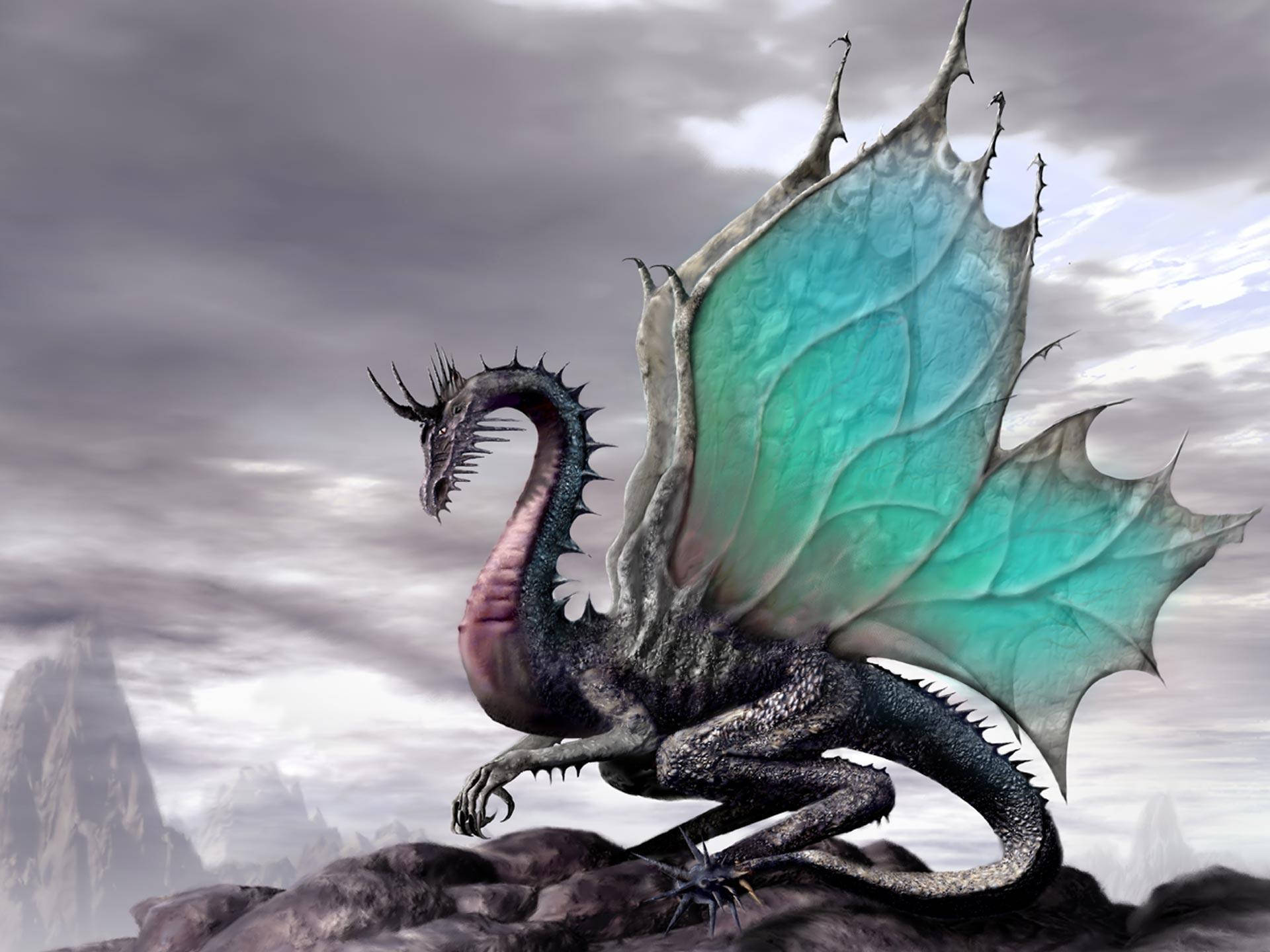 3d Fairy Dragon Illustration Wallpaper