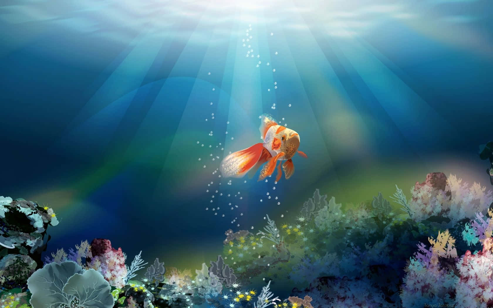 Free Aquarium 3D Fish Live Wallpaper APK Download For Android  GetJar