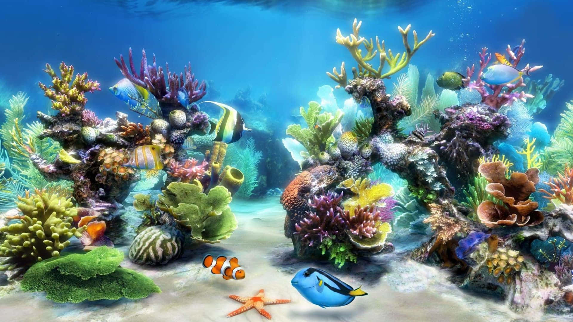 Download Enjoy a Virtual View of the Submerged Wonders in a 3D Fish Tank |  