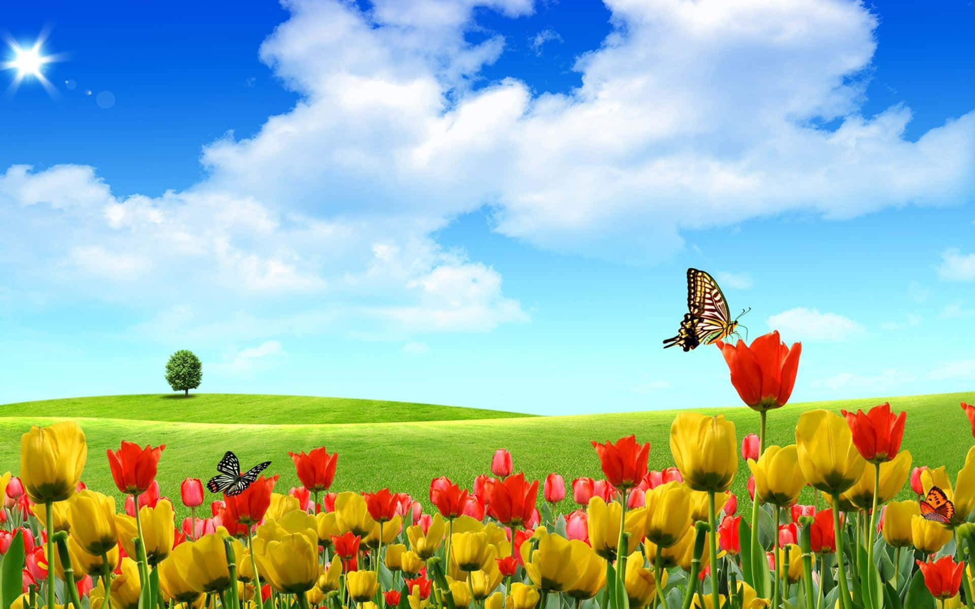 Espectacularfondo De Pantalla Floral En 3d Lleno De Color. Fondo de pantalla