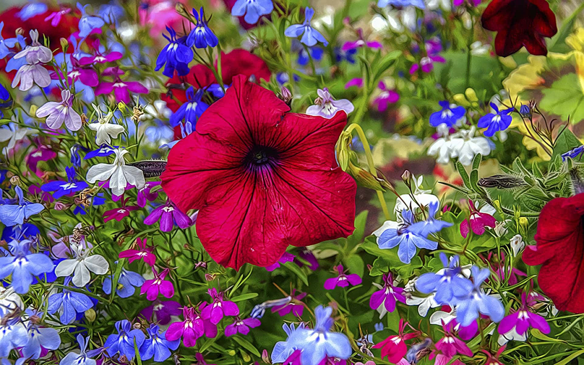 Floresen 3d Vibrantes En Plena Floración Fondo de pantalla