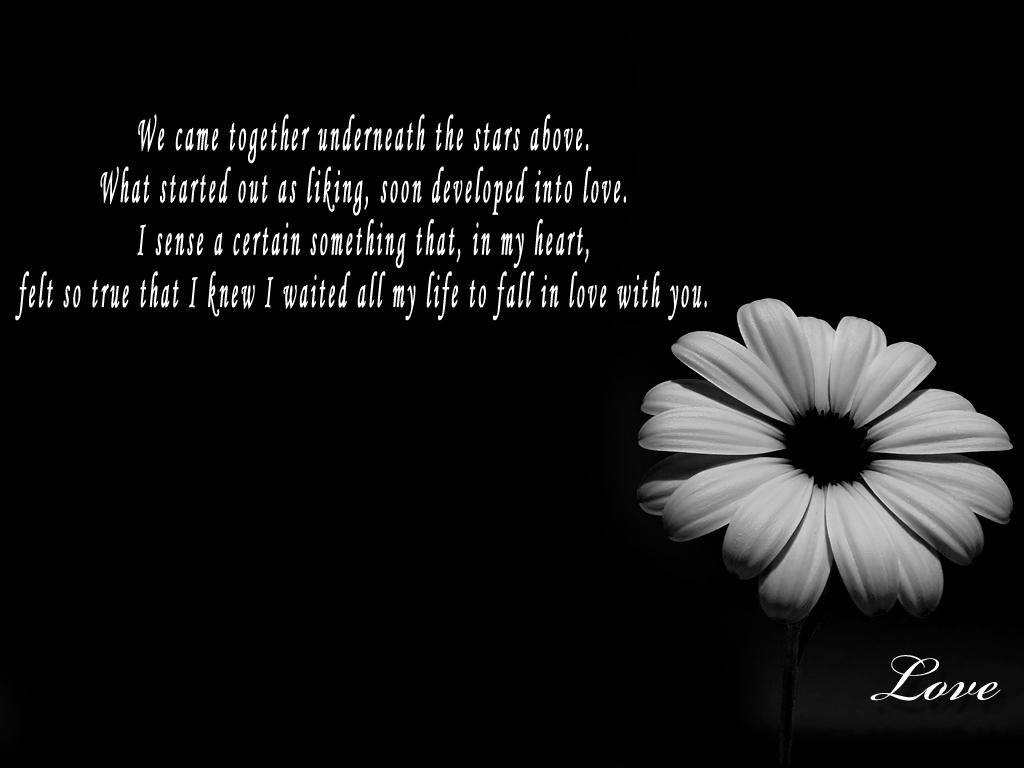 3d Flower With Text Black Lover Wallpaper