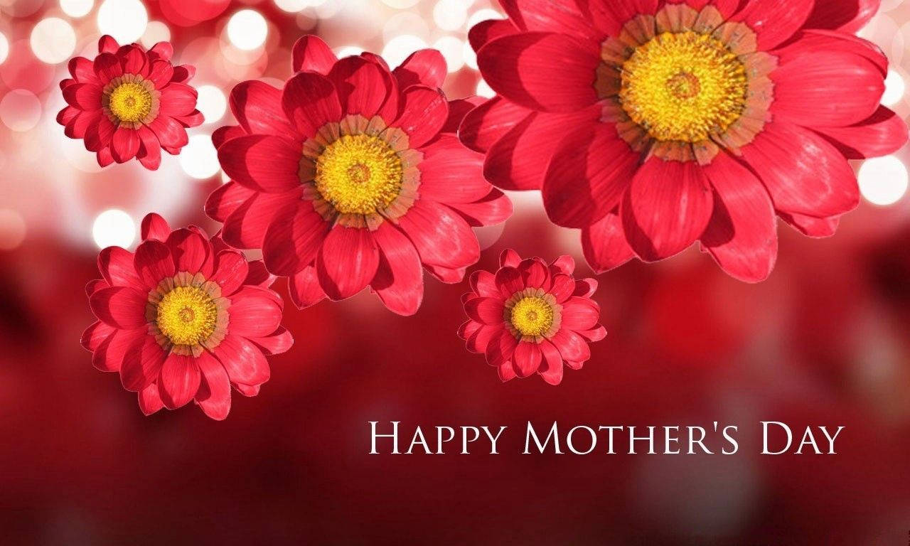 3d Flowers Mother's Day Greeting Wallpaper