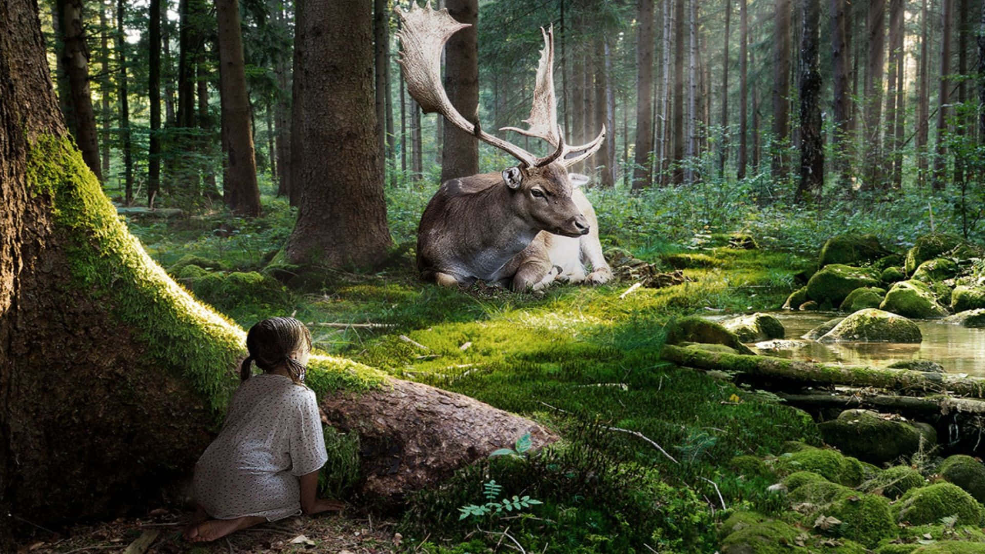 Enchanting 3D Forest Scene Wallpaper