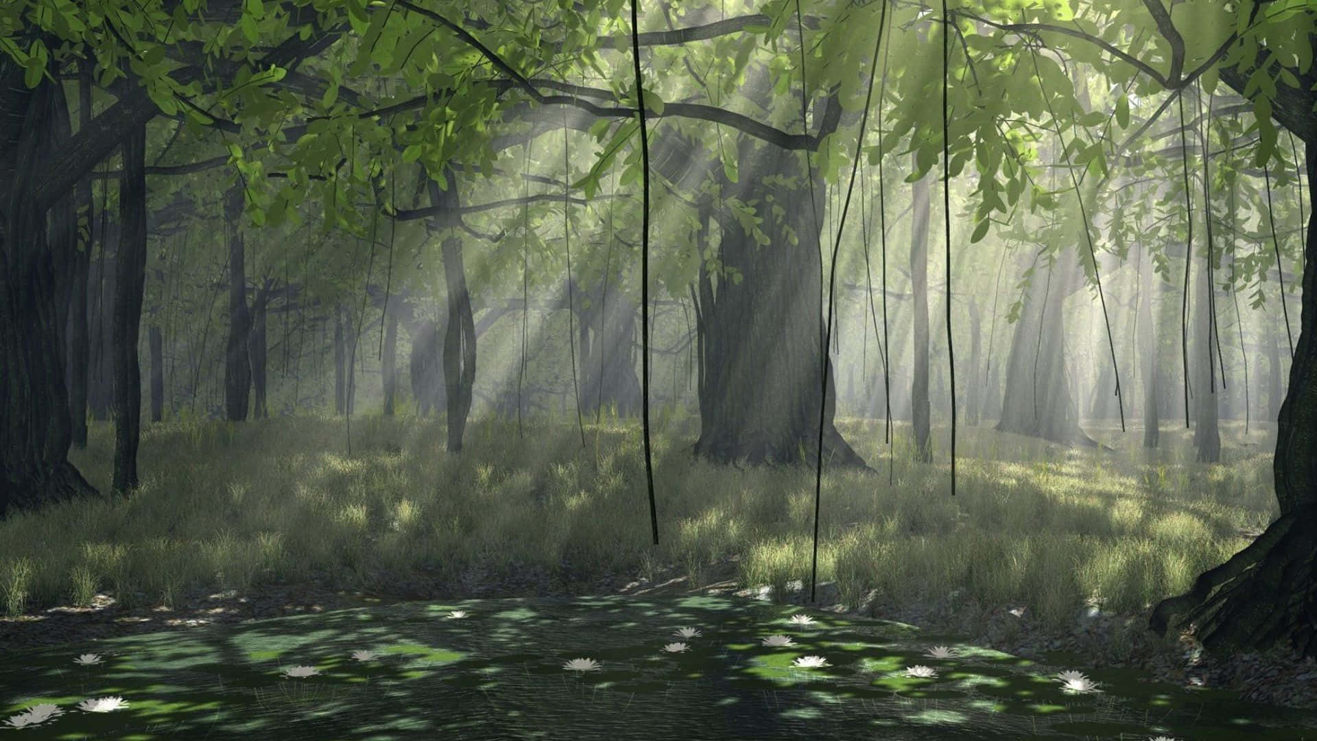 Enchanting 3D Forest with Majestic Trees and Sun Rays Wallpaper