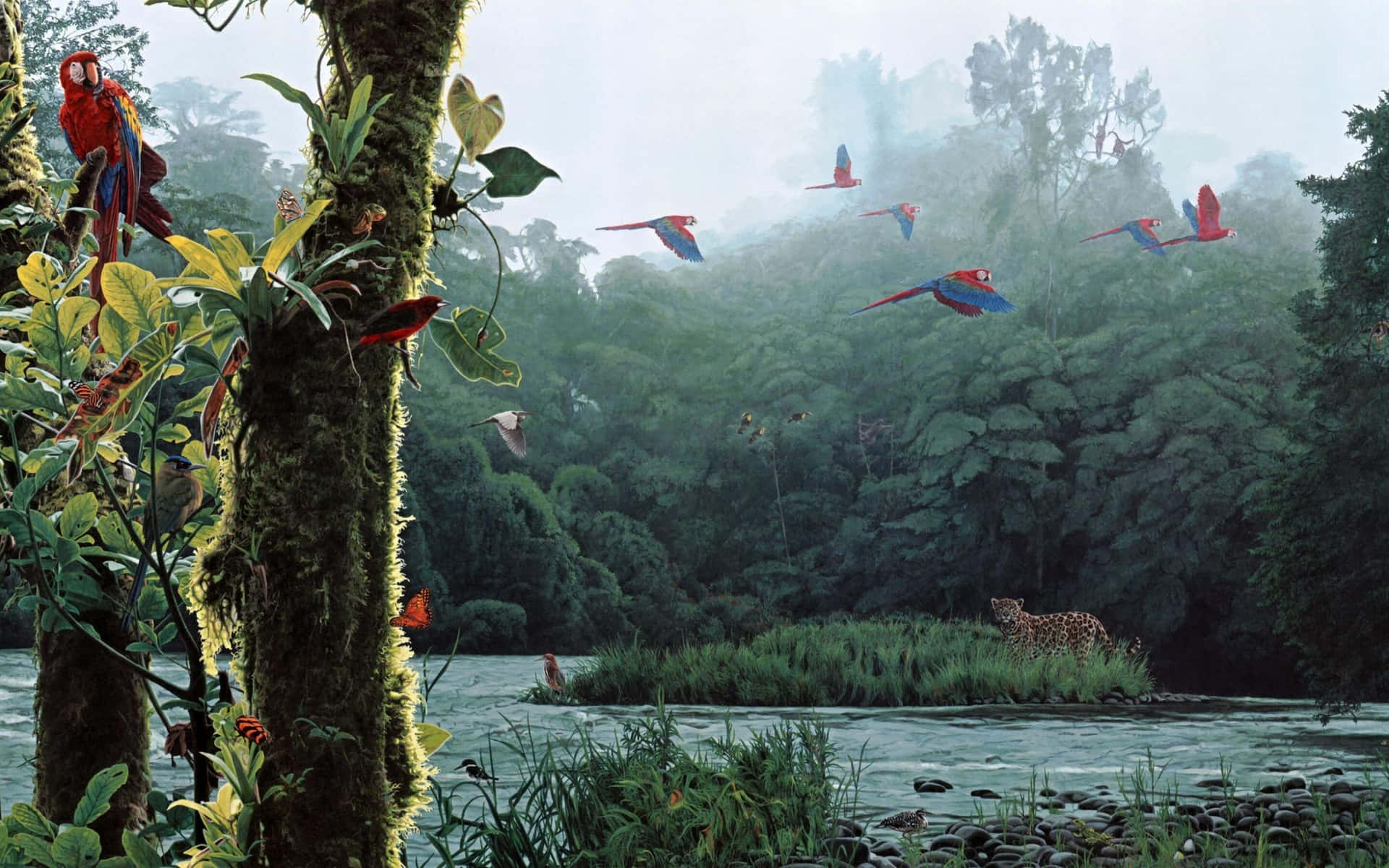 Амазонка дика природа. Чунцин тропические джунгли. Тропический лес. Леса Амазонии. Попугаи тропических лесов.