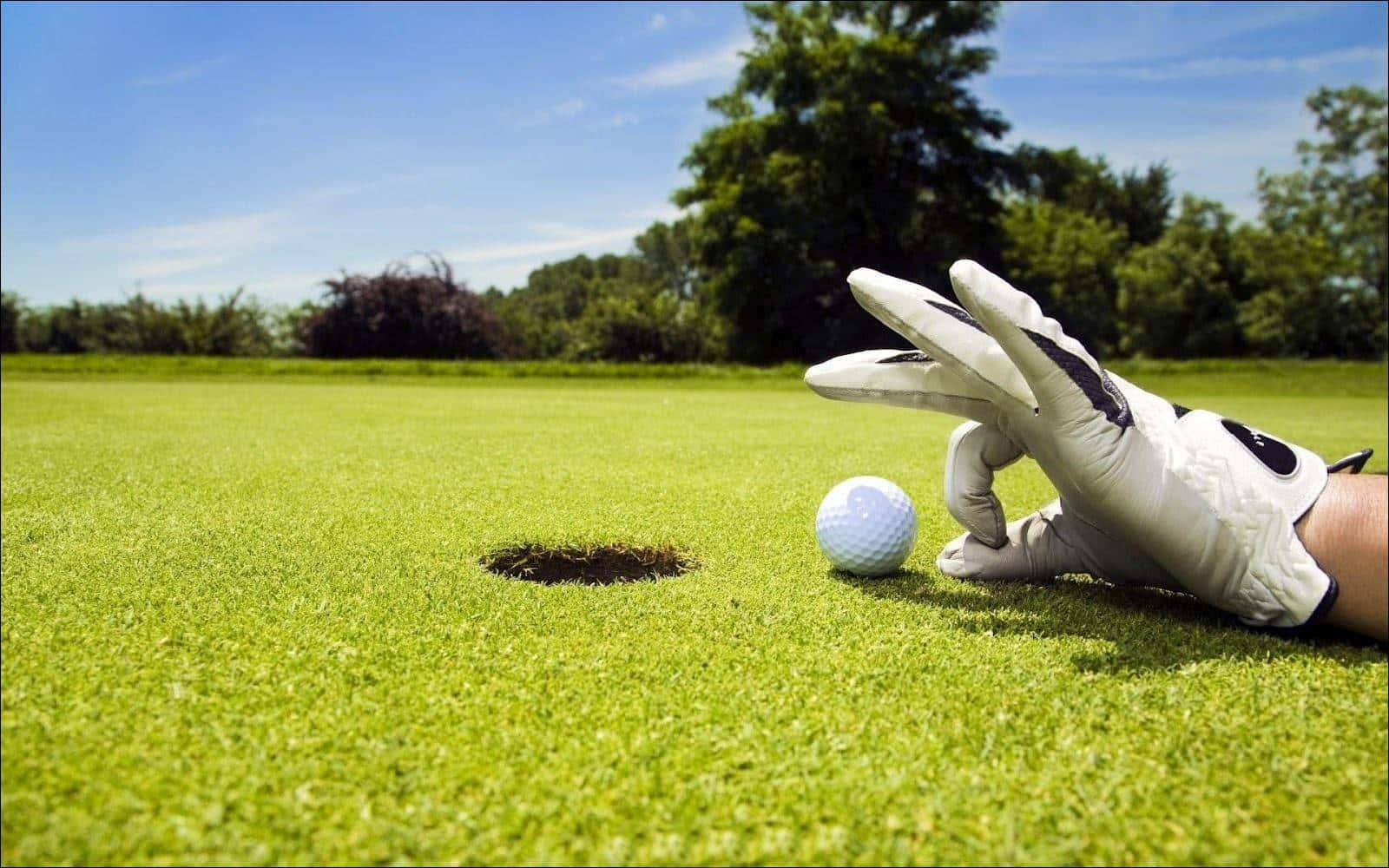 A Golfer's Hand Reaching For A Golf Ball Wallpaper