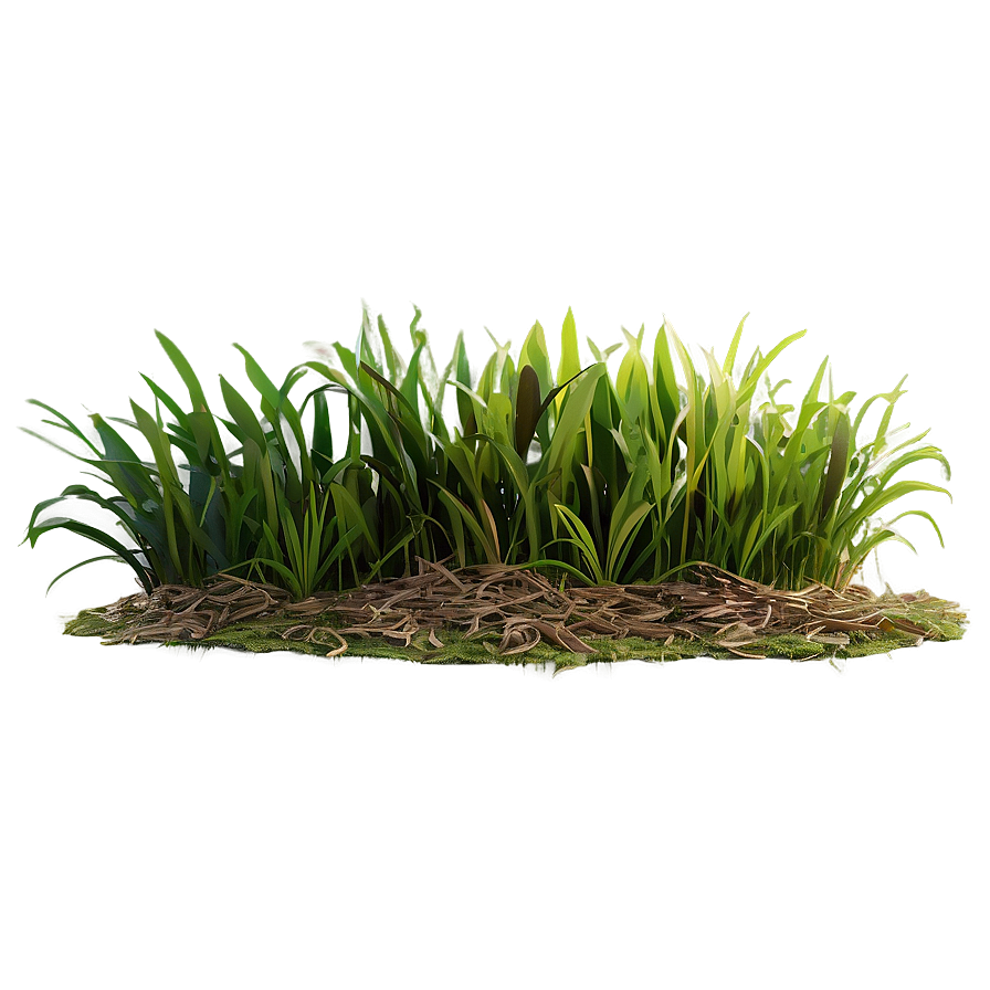 3d Grass Clipart Png Ysl36 PNG