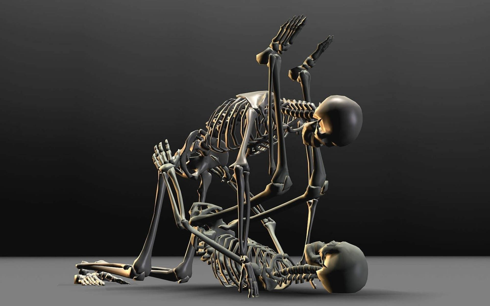 Free Skeleton Wallpaper Downloads, [400+] Skeleton Wallpapers for FREE |  