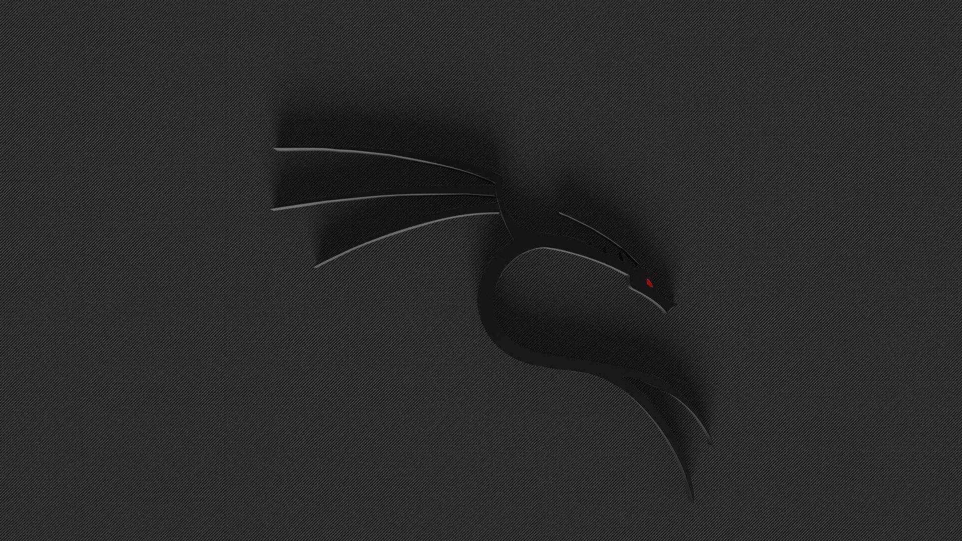 3D Kali Linux Dragon tema tapet Wallpaper