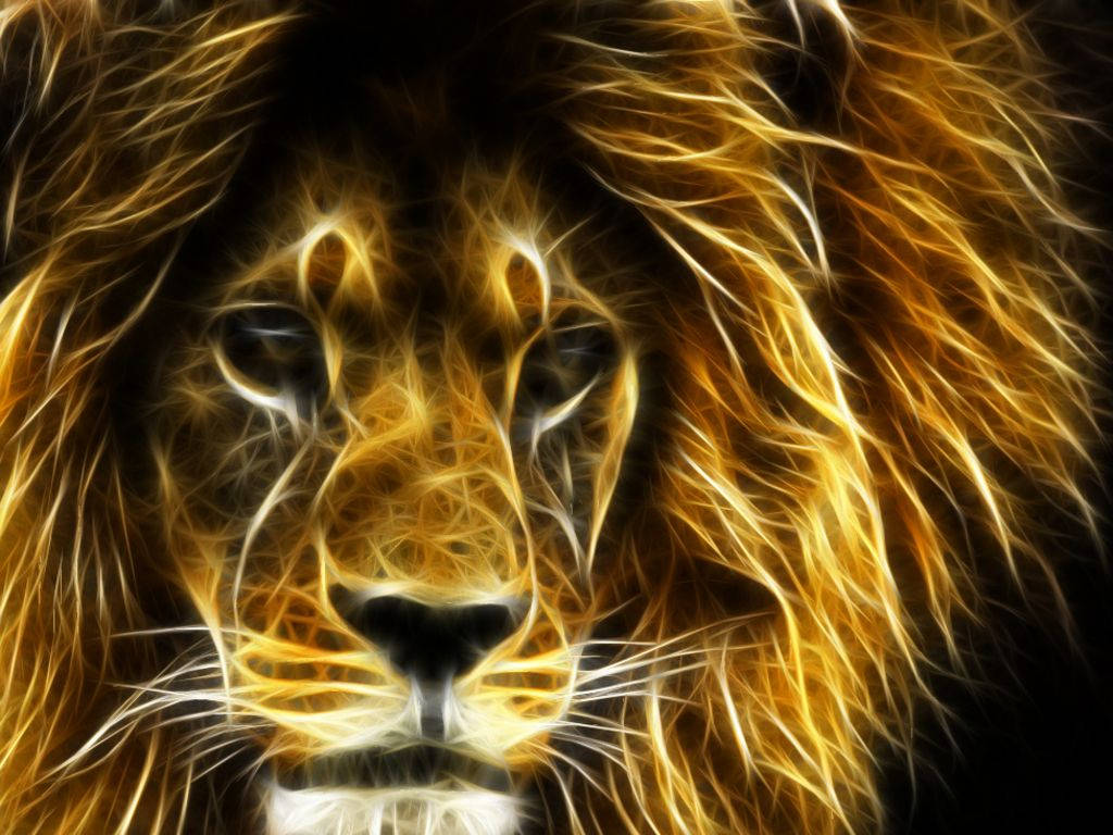 3d Lion Wallpaper Screen Display Picture