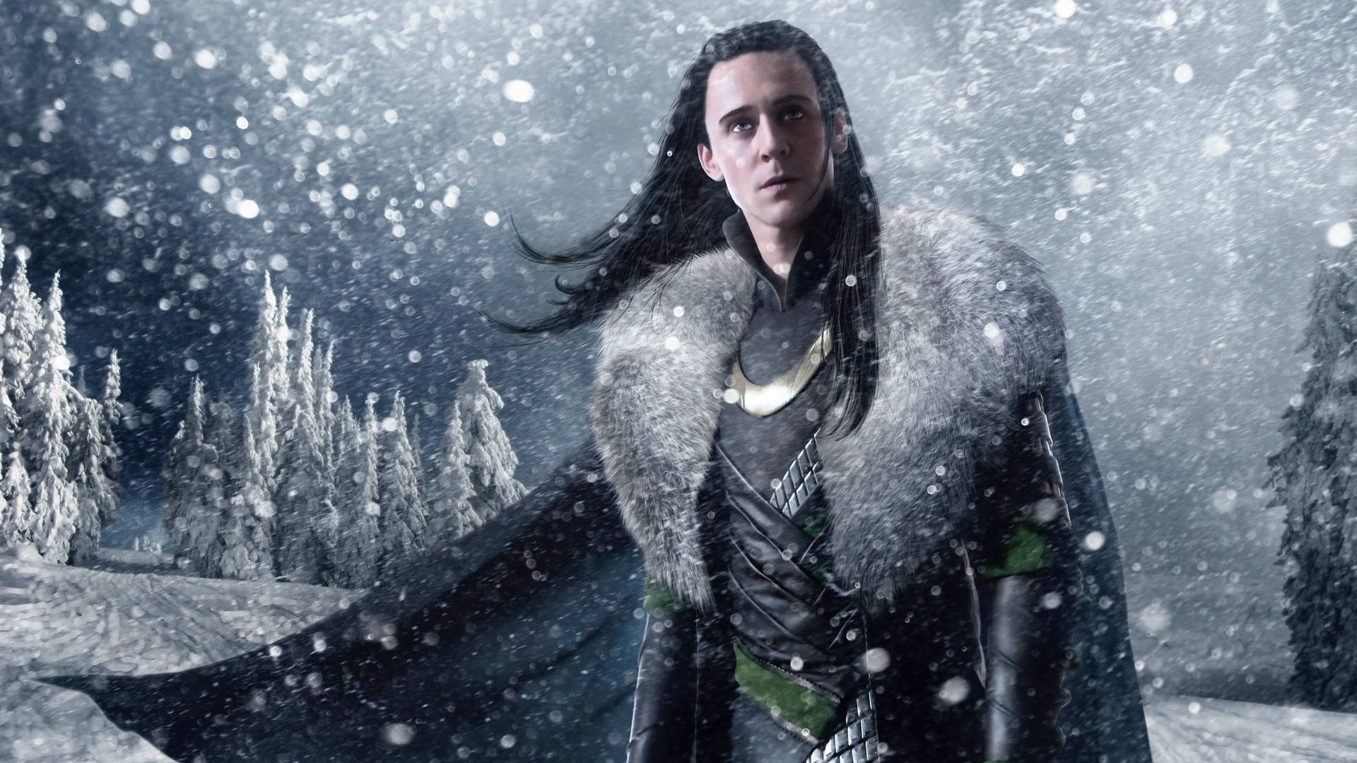 3d Loki In Snow Field