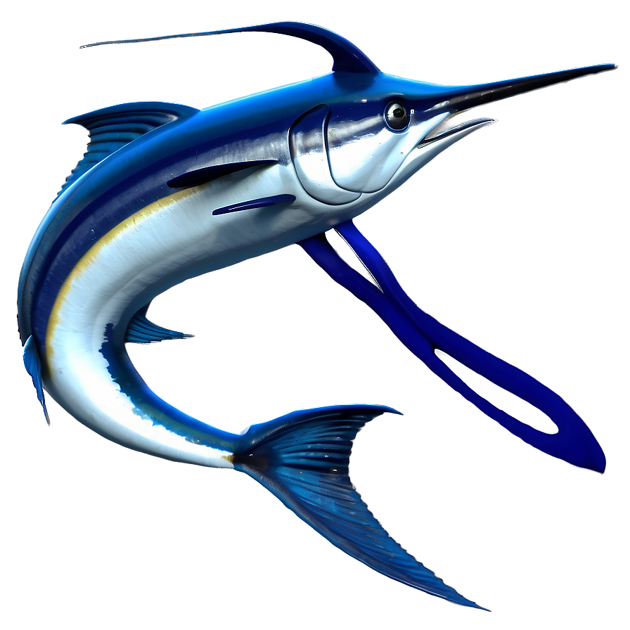 3d Marlin Model Png 14 PNG