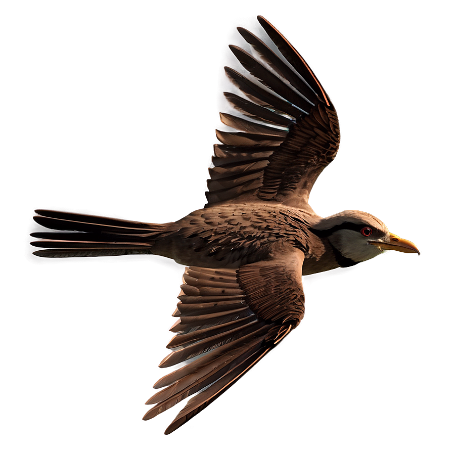 3d Model Animation Flying Bird Png Ofx PNG