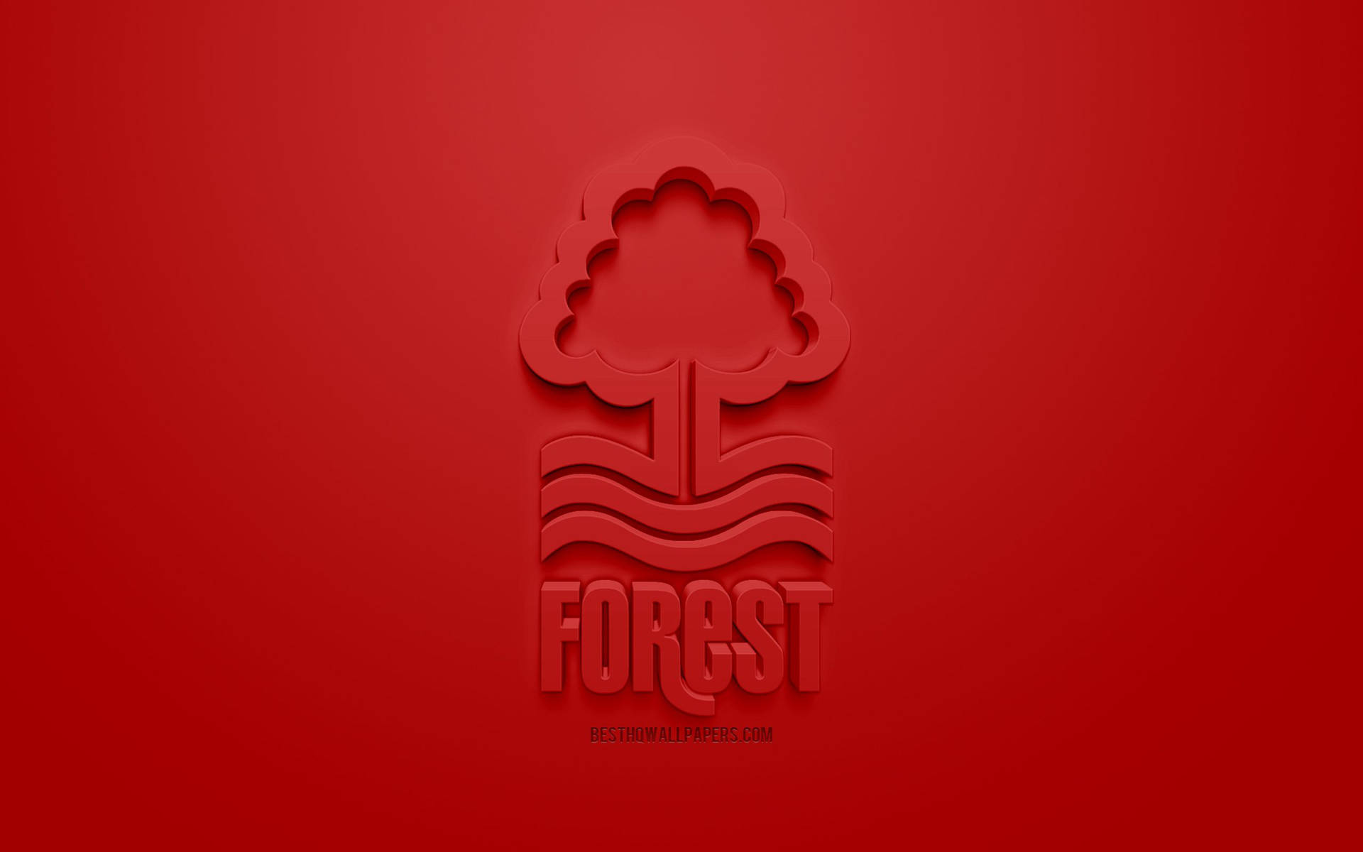 Nottingham Forest F.c. 2560 X 1600 Papel de Parede