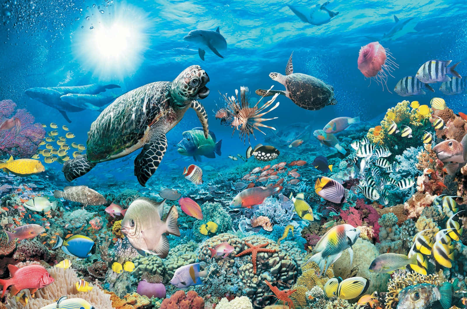 3D Ocean Scene Wallpaper