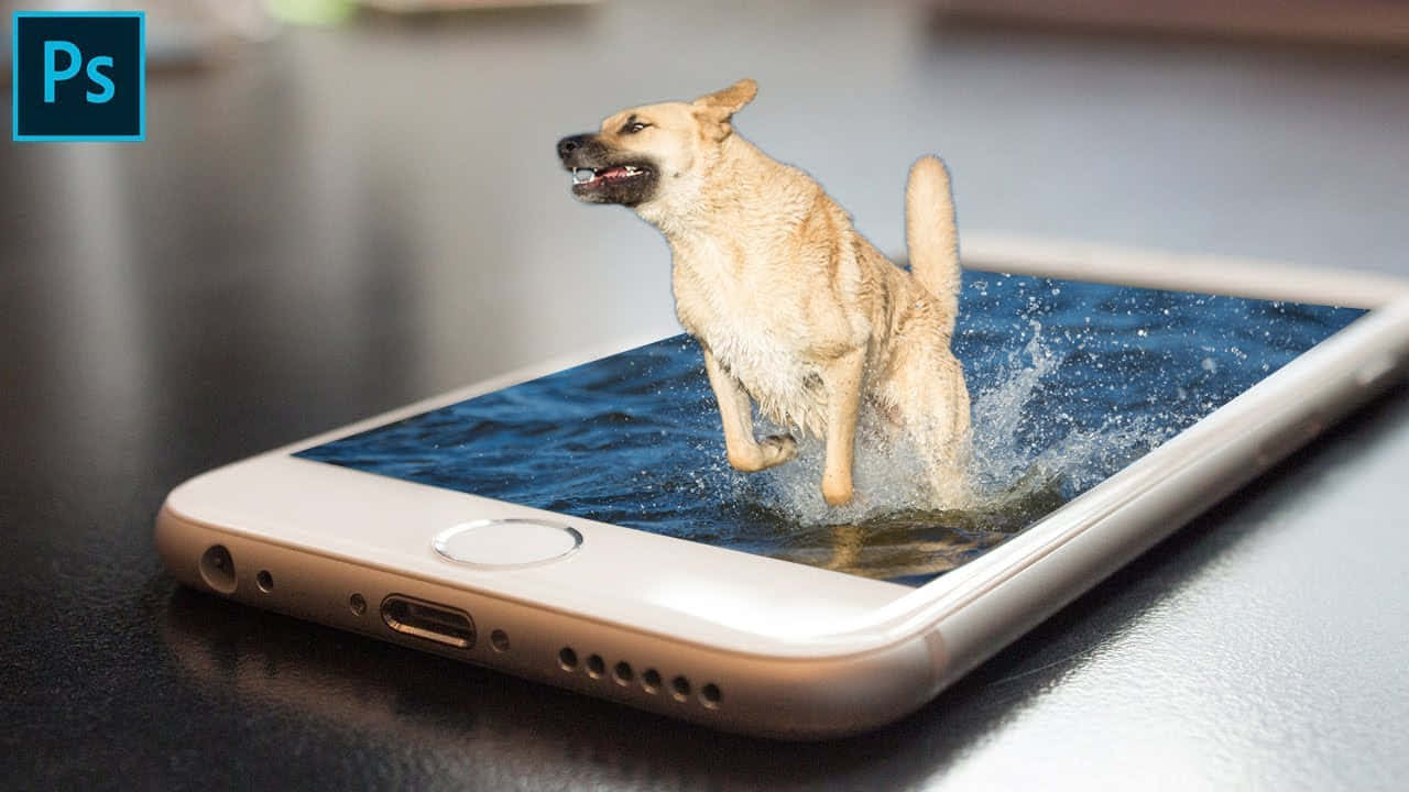 Einhund Springt Ins Wasser Auf Einem Telefon.