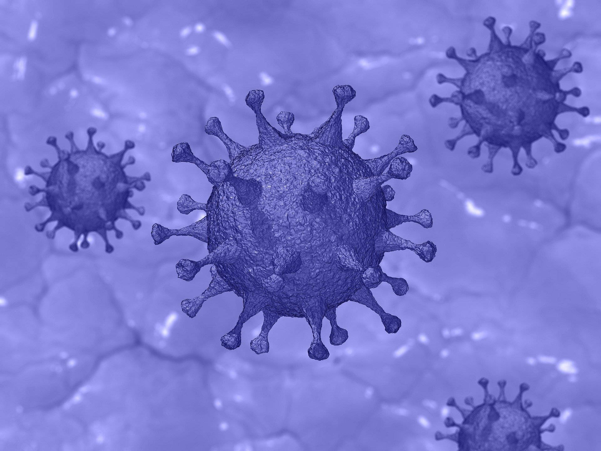 3d Purple Coronavirus Background