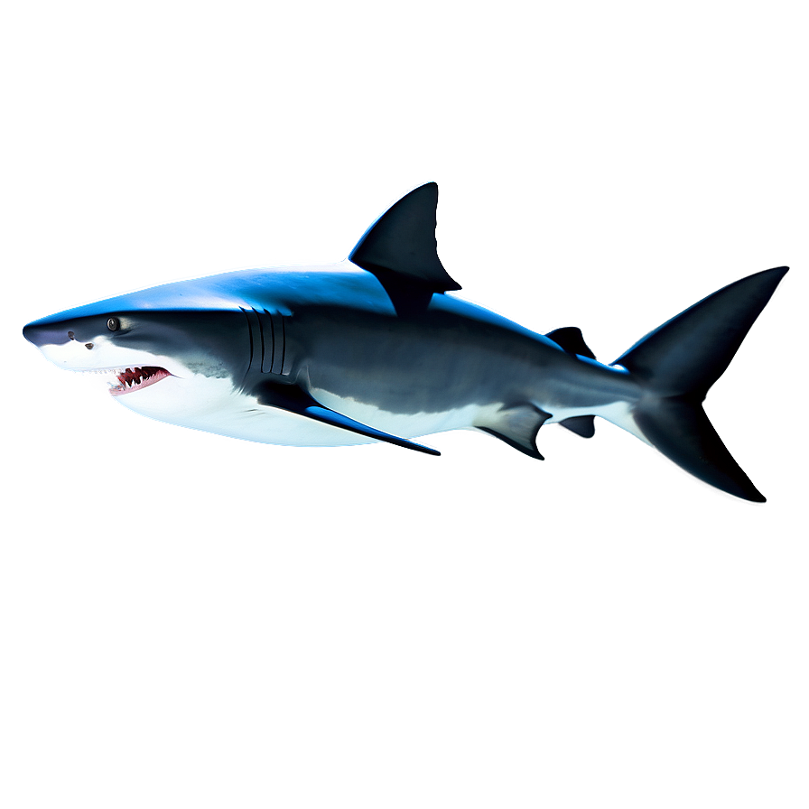3d Shark Image Png 33 PNG