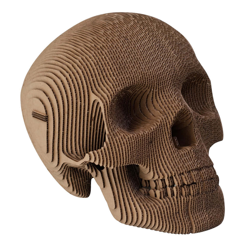 Intriguing 3D Skull Artwork Wallpaper