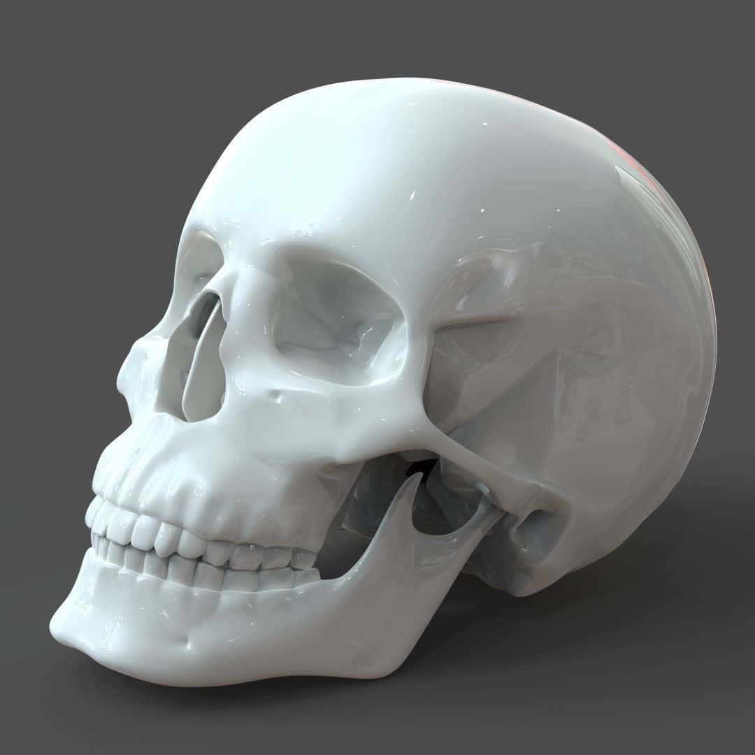 Cráneoen 3d Con Detalles Intrincados Fondo de pantalla