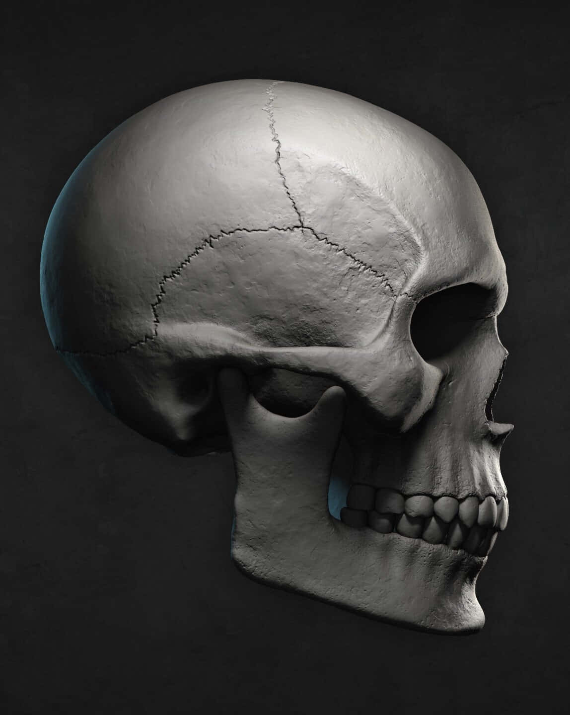Caption: Striking 3D Skull Artwork Wallpaper