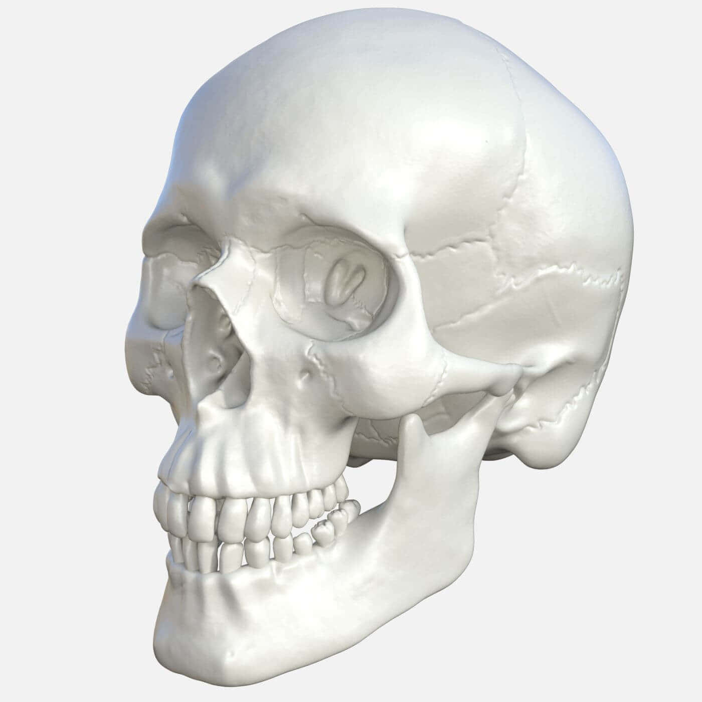Stunning 3D Skull Artwork Wallpaper