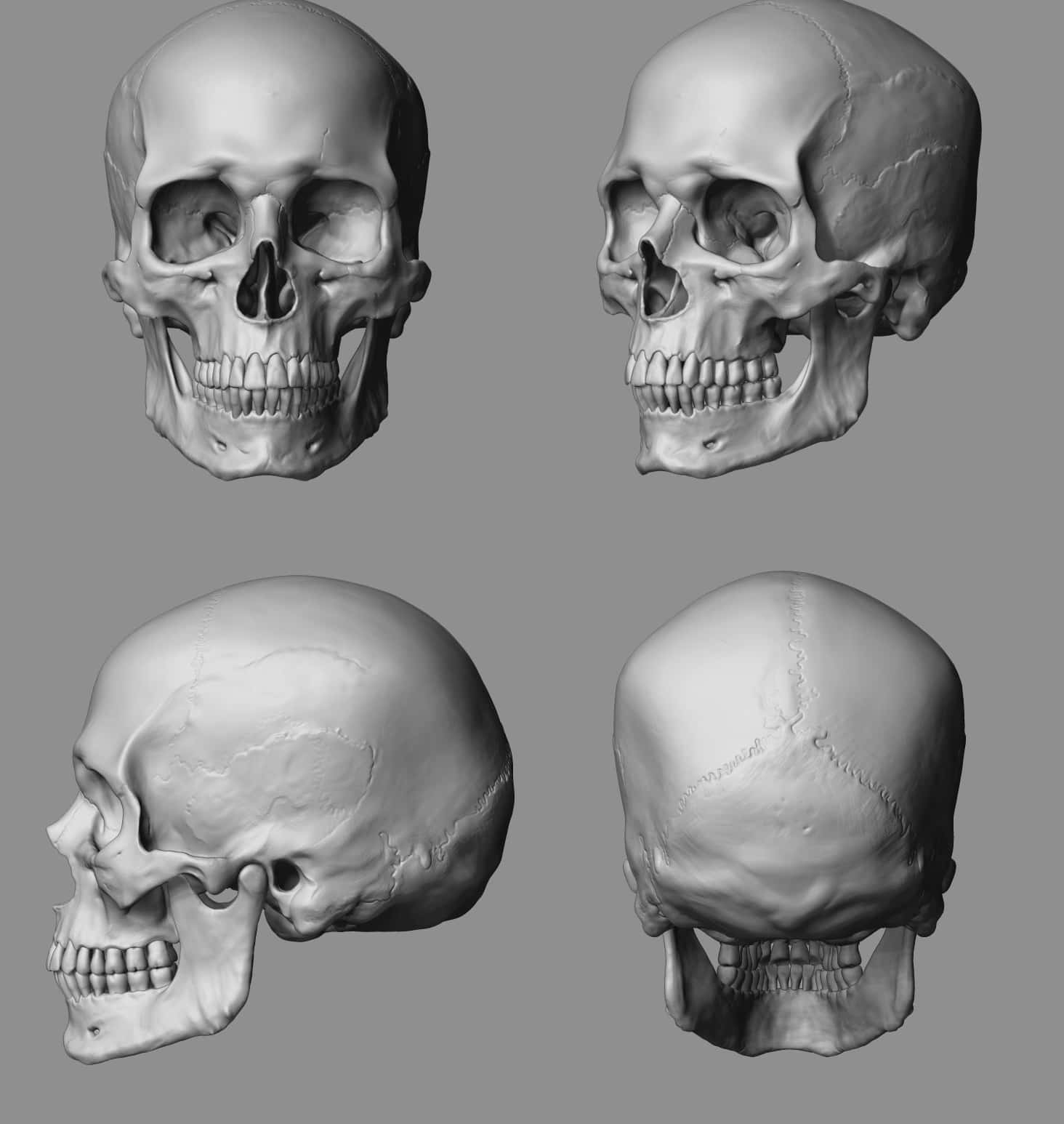 Expertly Rendered 3D Skull Image Wallpaper