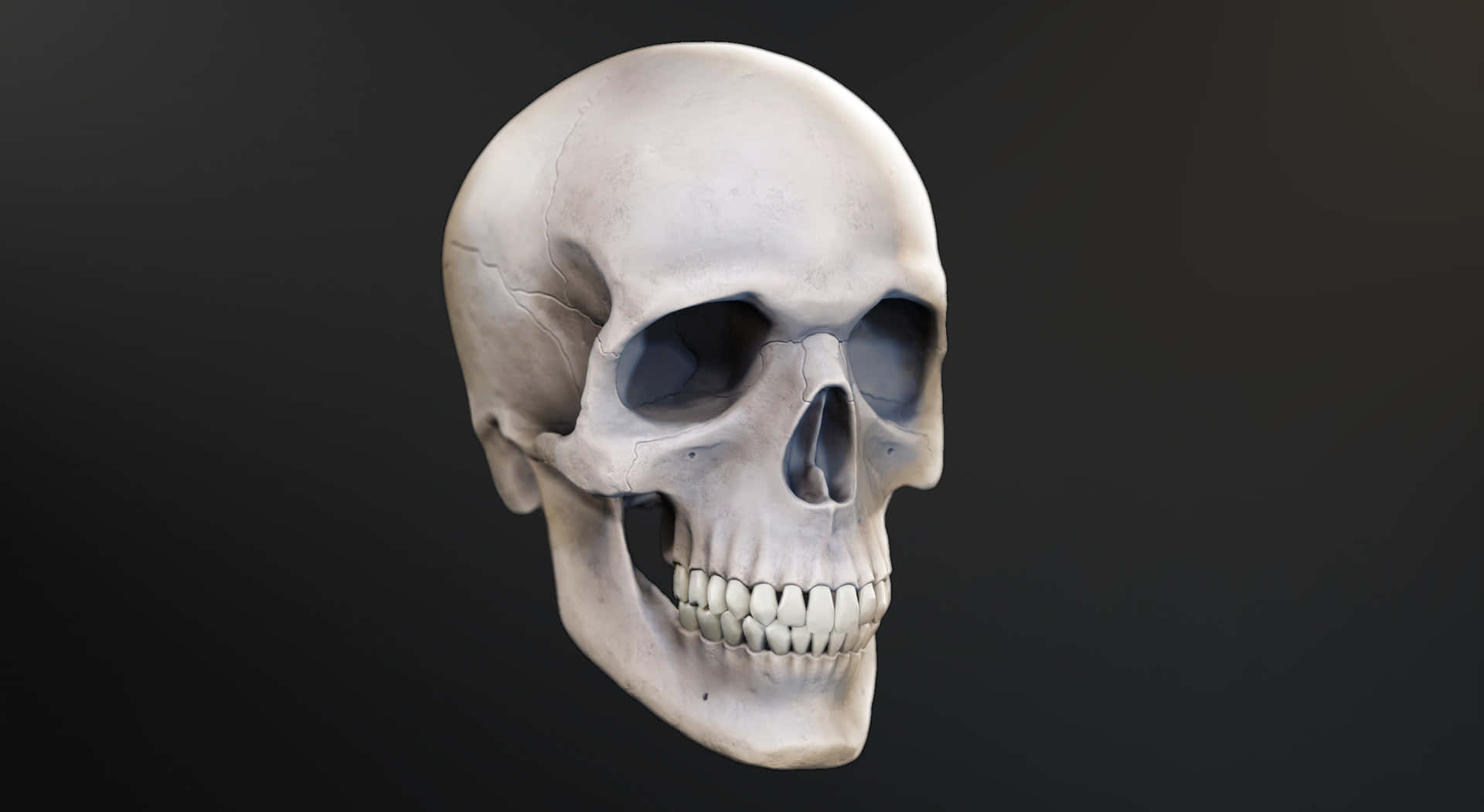 Striking 3D Skull Art Wallpaper Wallpaper