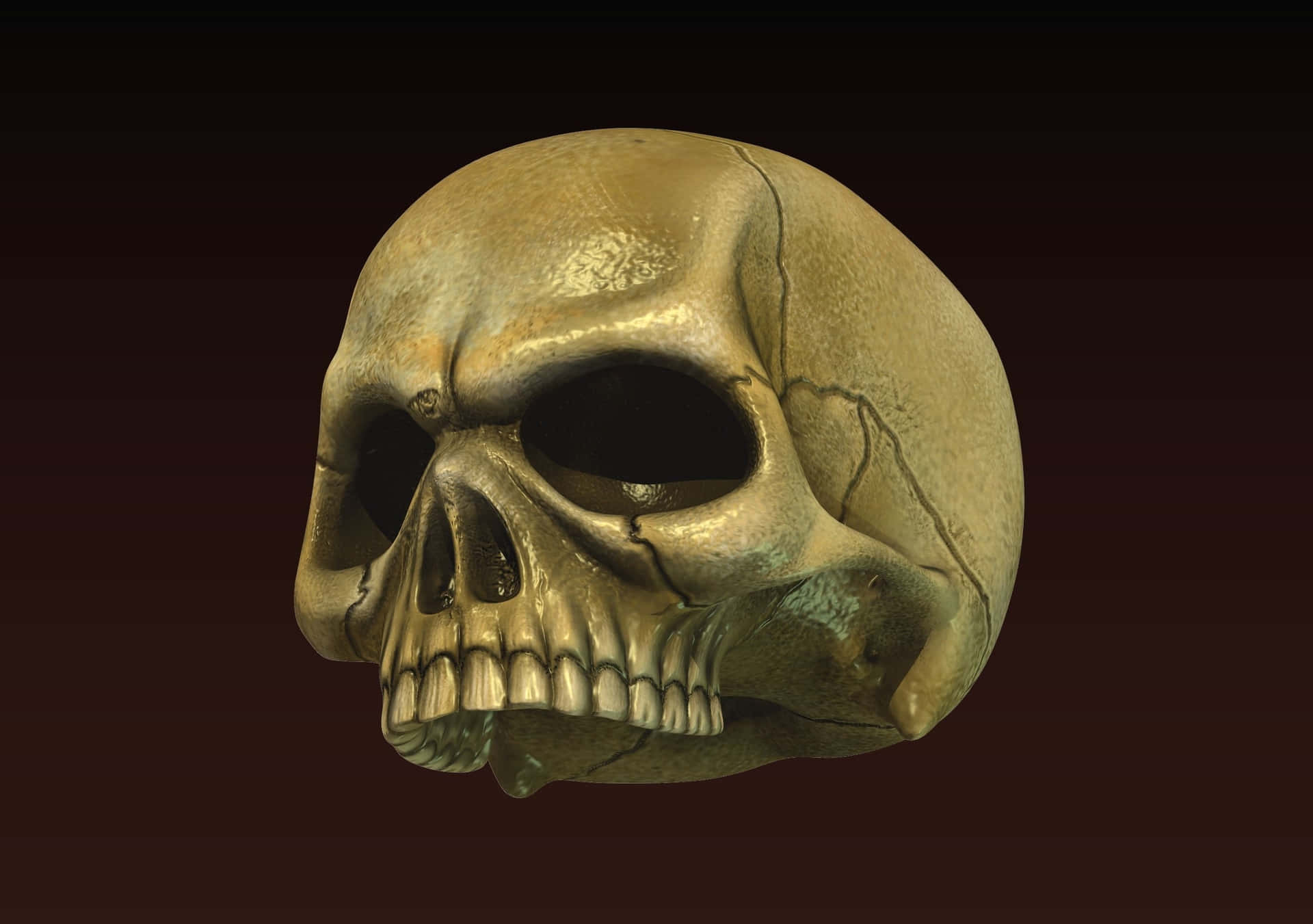 Bone-Chilling 3D Digital Art of a Skull Wallpaper