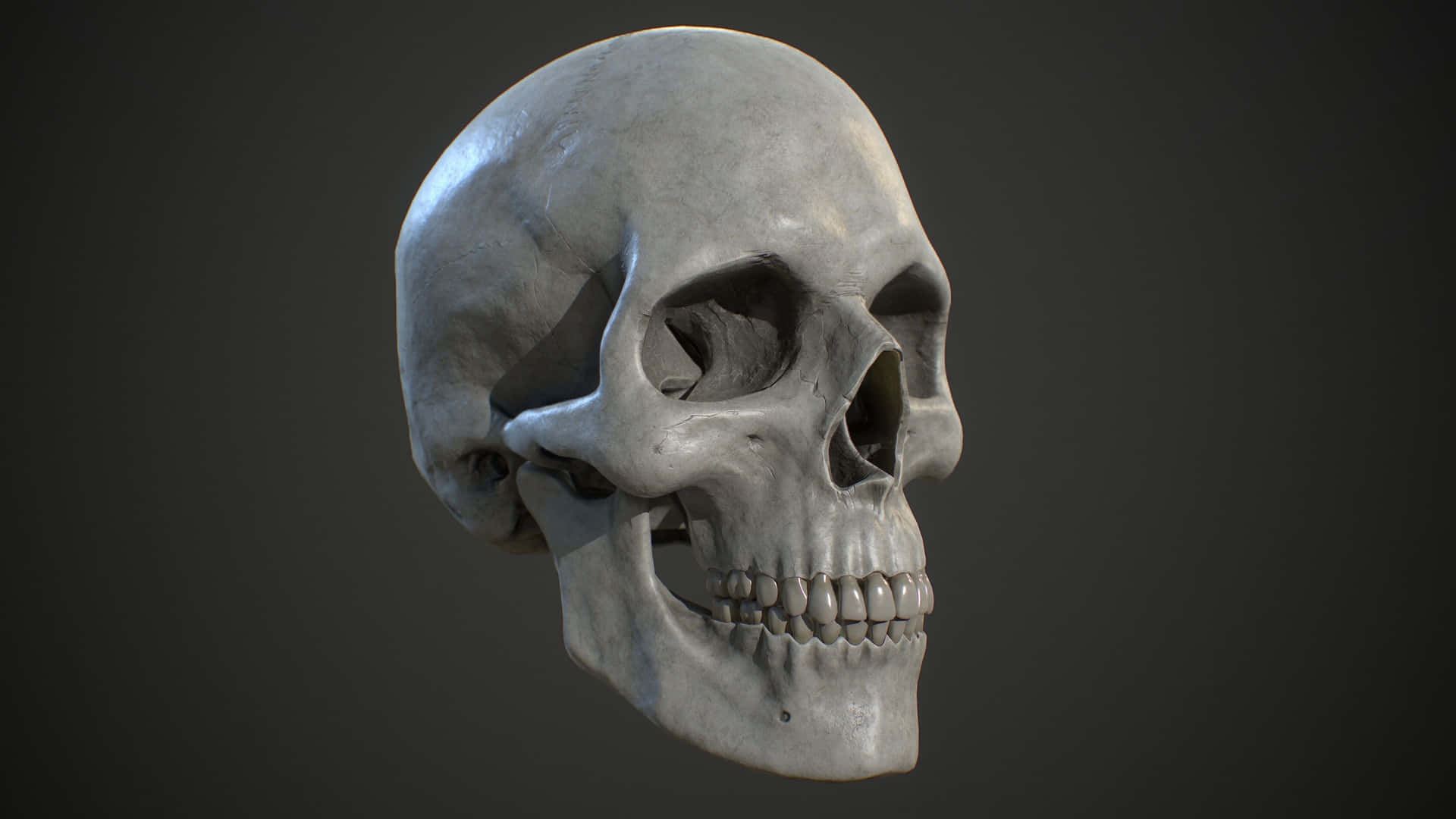 Mysterious 3D Skull on Dark Background Wallpaper