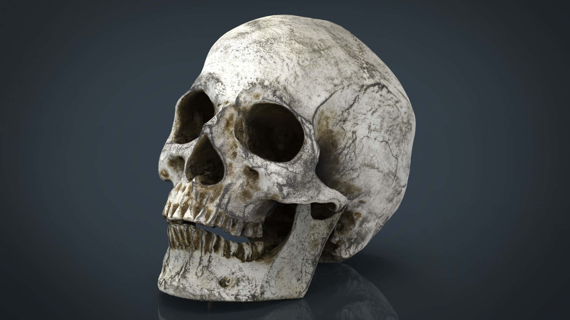 Bold and Intriguing 3D Skull Art Wallpaper
